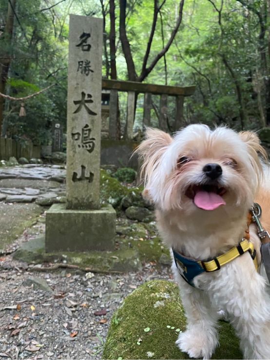 大阪府　犬鳴山