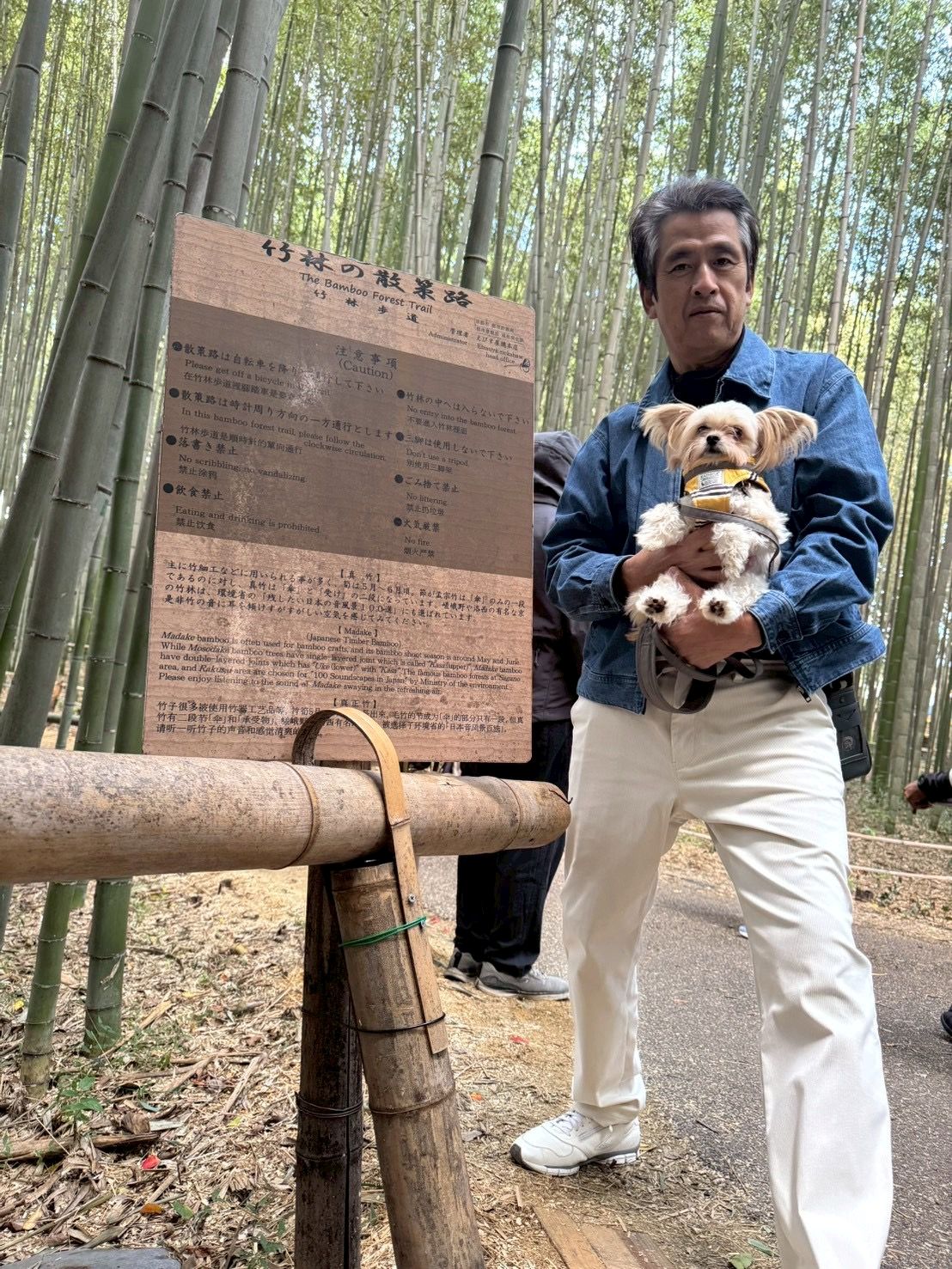 京都府　竹林の小径